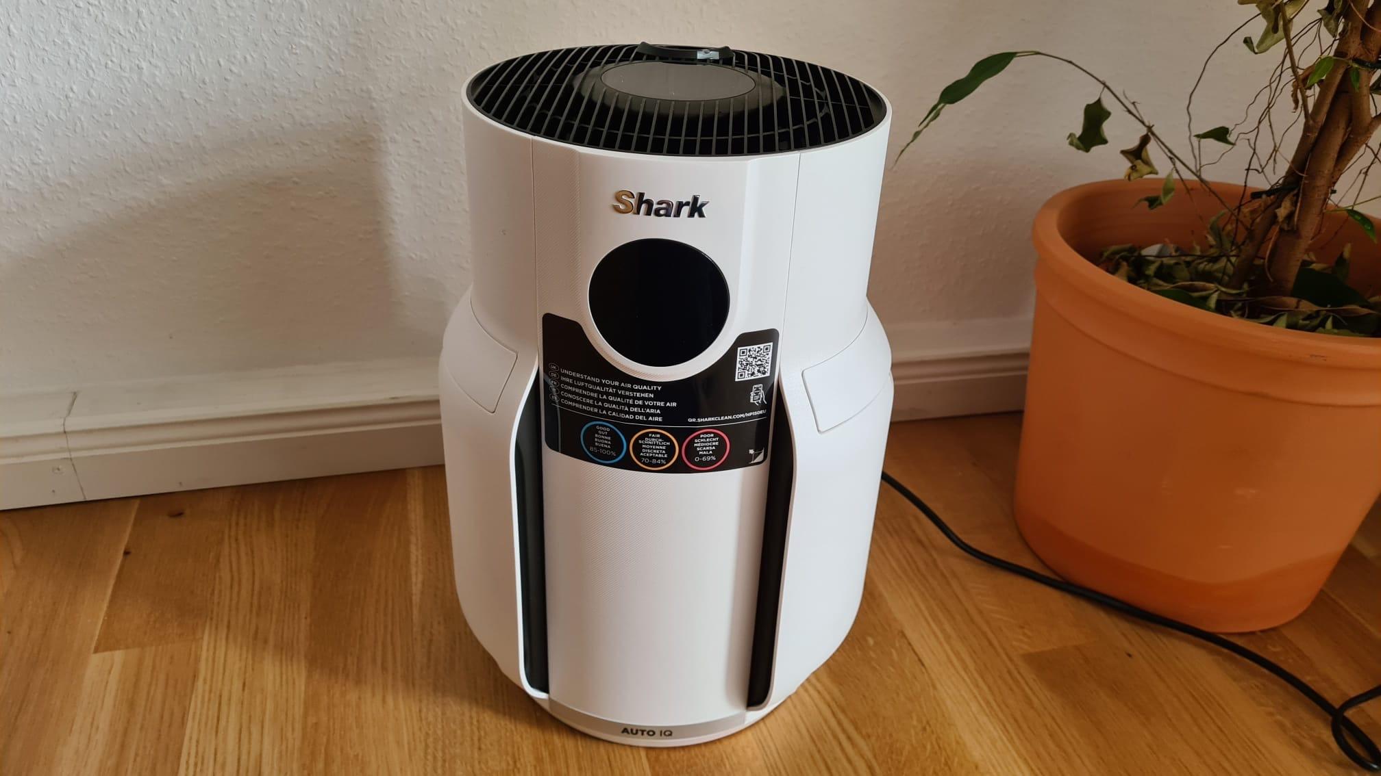 Der Shark HP300EU Luftreiniger steht im Test im Büro neben einer Pflanze. 